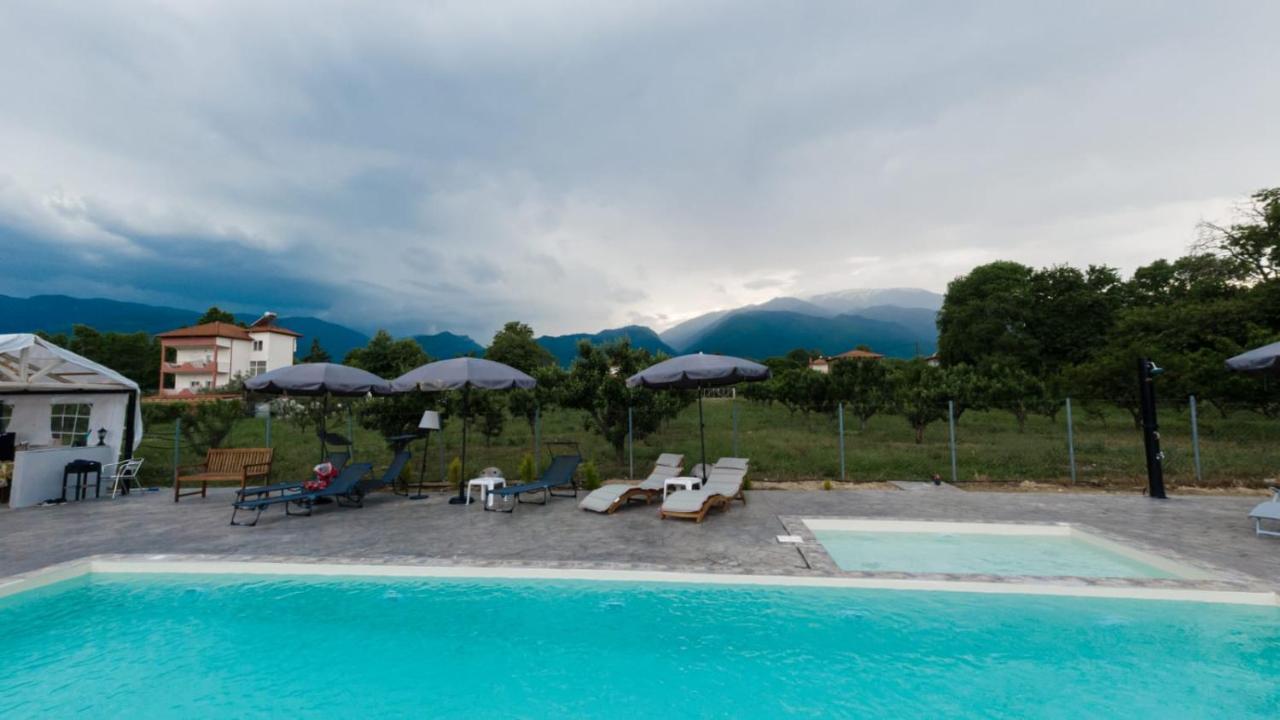 Ntinasvillage Leptokaryá Luaran gambar